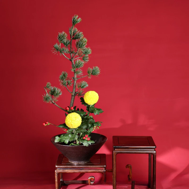 Japanse Kikker Vaas Keramiek B - Ikebana Vase Kenzan recensie en prijs