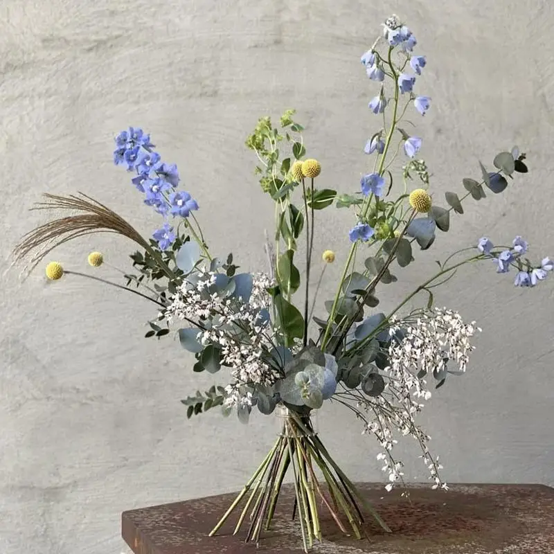 Spiraal Ikebana Stengelhouder  - Ikebana Vase Kenzan recensie en prijs