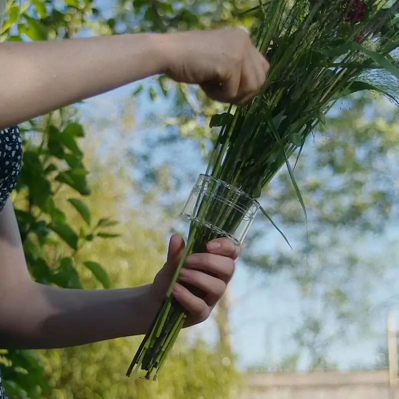 Spiraal Ikebana Stengelhouder  - Ikebana Vase Kenzan recensie en prijs