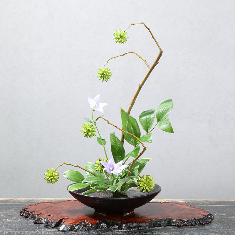 Japanse Kikkervaas Keramisch B - Ikebana Vase Kenzan recensie en prijs