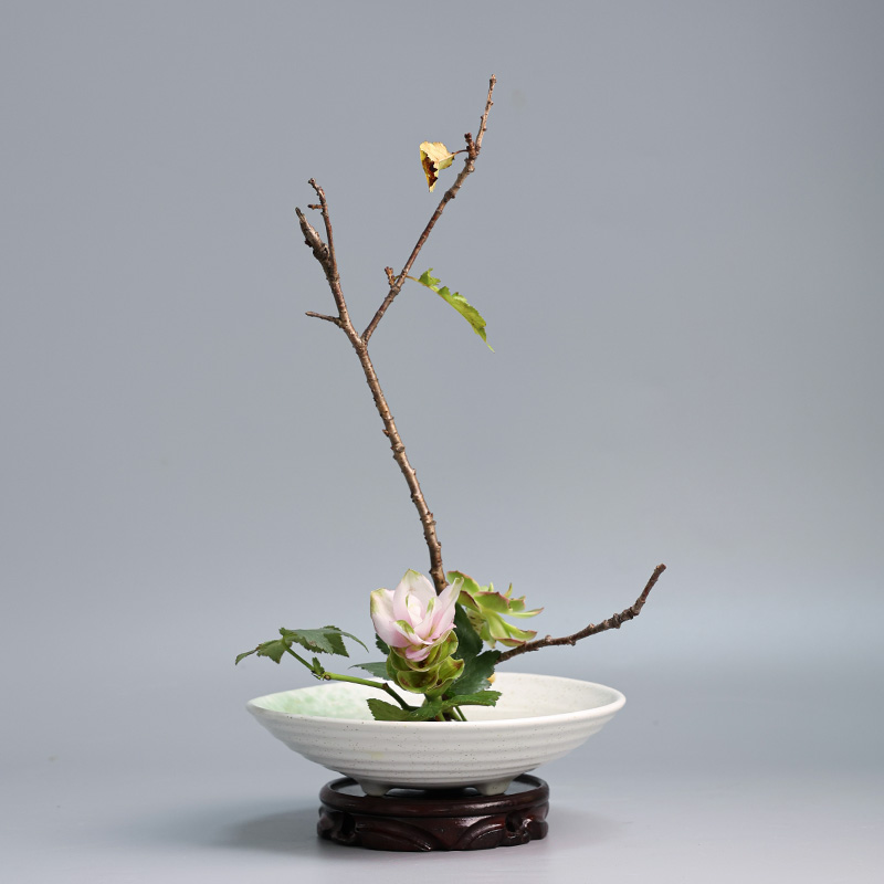 Japanse Kikkervaas Keramisch B - Ikebana Vase Kenzan recensie en prijs