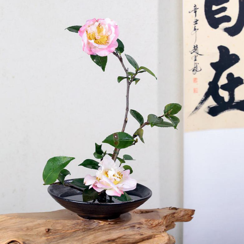 Japanse Kikkervaas Keramisch B - Ikebana Vase Kenzan recensie en prijs
